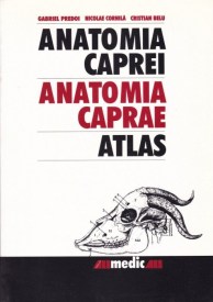 anatomia caprei